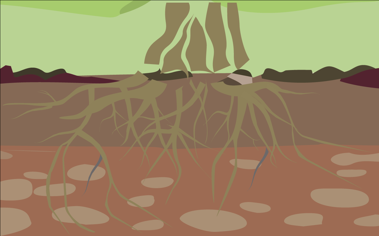 fondo pasado (1).PNG