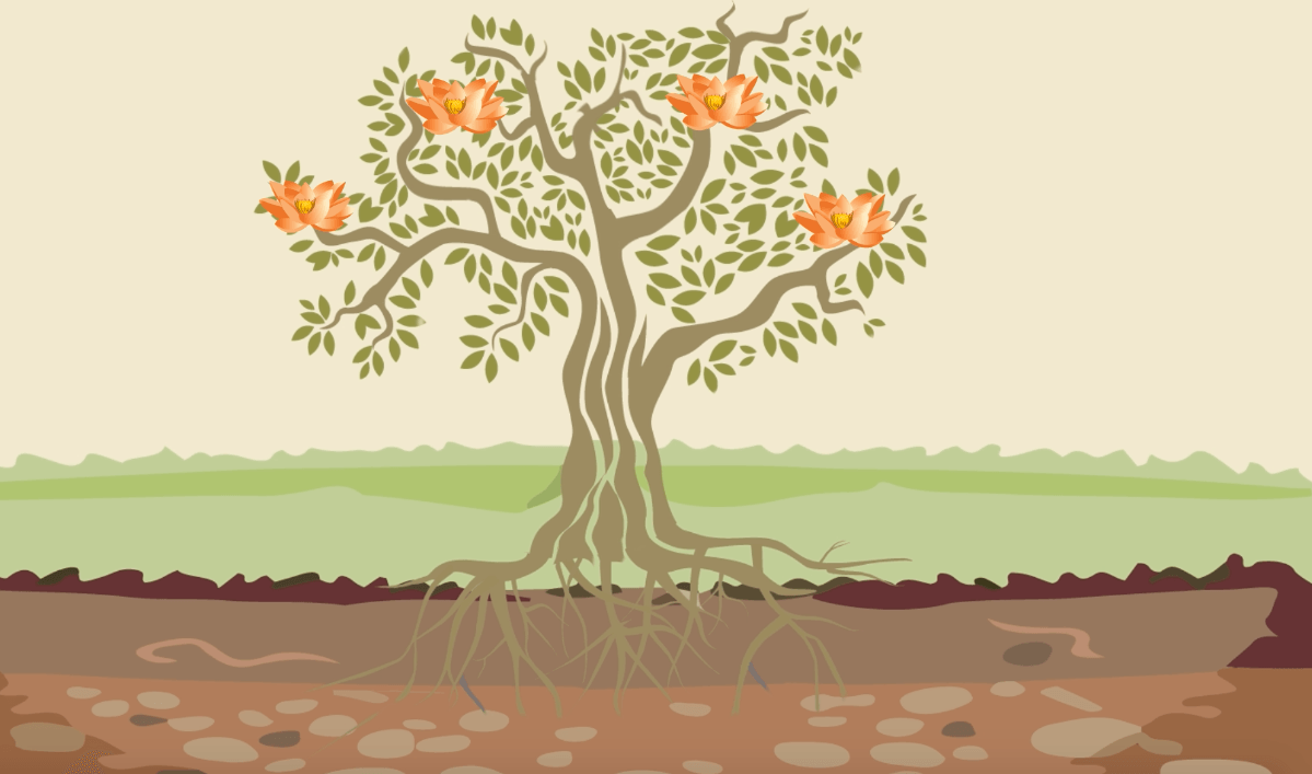 Screen Shot 2016-10-17 at 10.56.06 AM.png